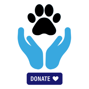 Donate - Cat Lovers Ballarat